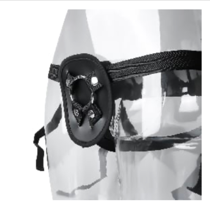 harness for beginners